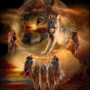 Meet your Posher, Diana